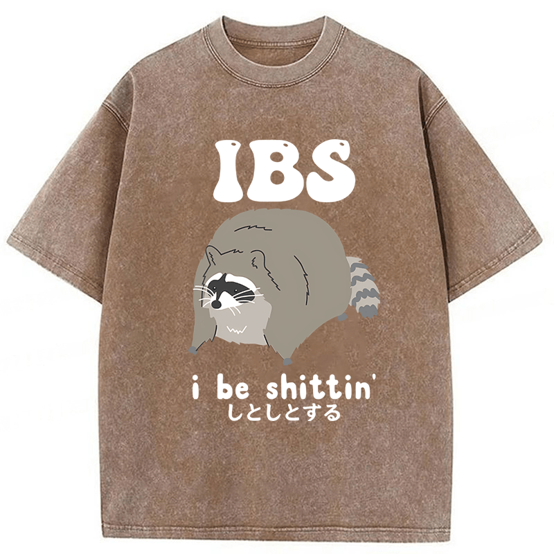 Tokyoviva IBS Raccoon Be Shittin Washed T-shirt