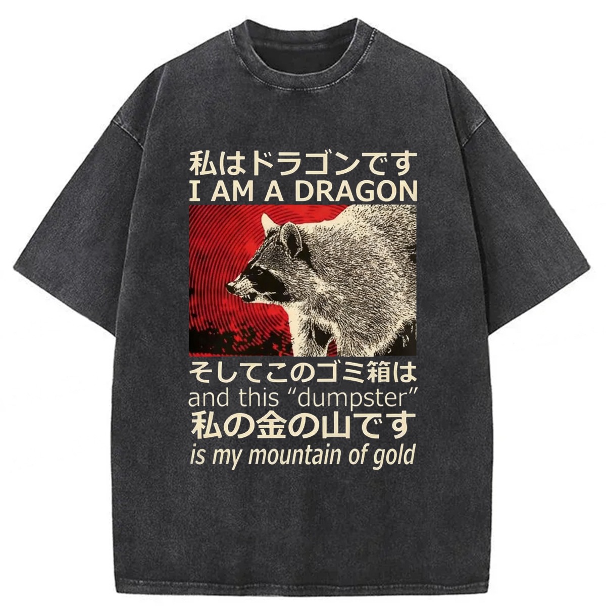 Tokyoviva Dragon Raccoon Washed T-shirt