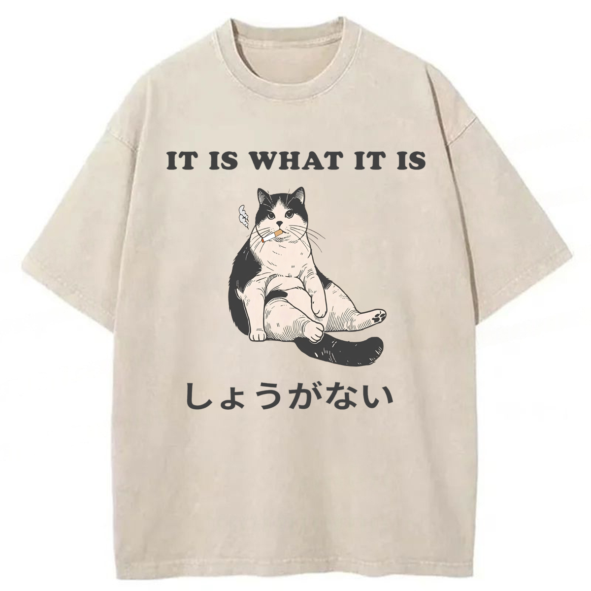 Tokyoviva It Is What It Is Smoking Cat Washed T-shirt