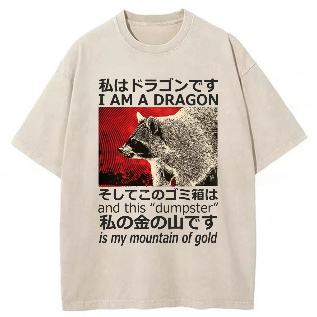 Tokyoviva Dragon Raccoon Washed T-shirt