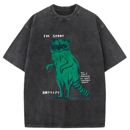 Tokyoviva Thief Raccoon Washed T-shirt