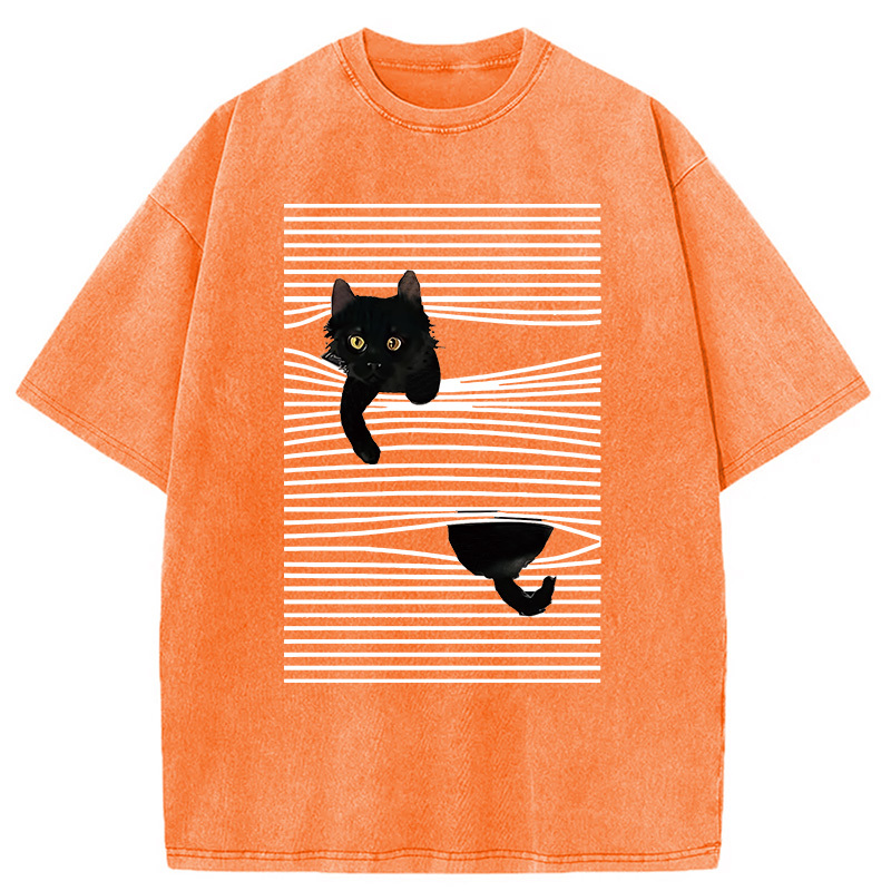 Cat Scratching Curtain Washed T-Shirt