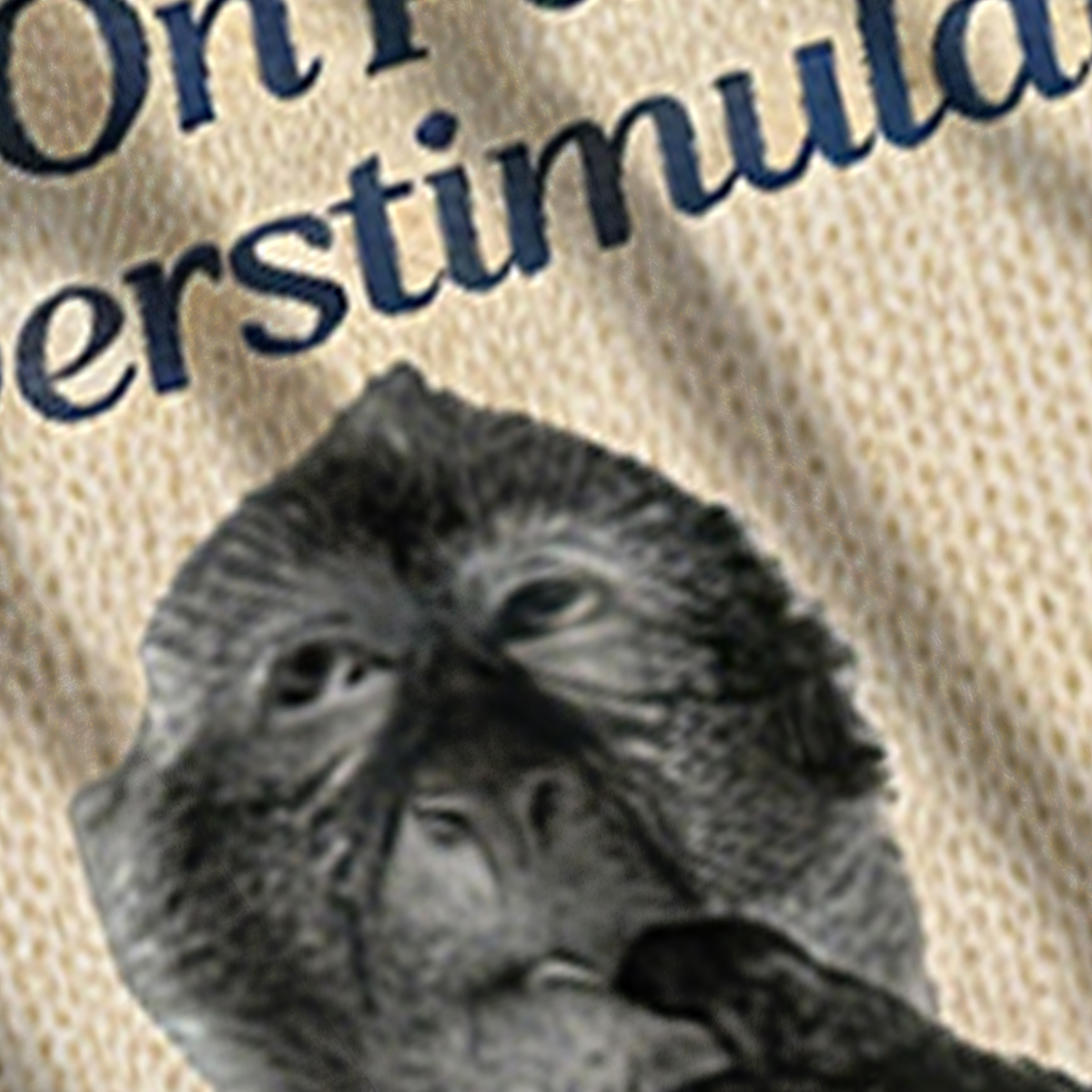 Baddiecat Hold On Partner I'm Overstimulated Ugly Sweatshirt