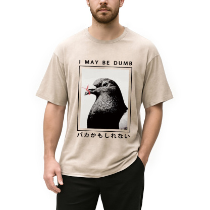 I May Be Dumb Funny Washed T-Shirt