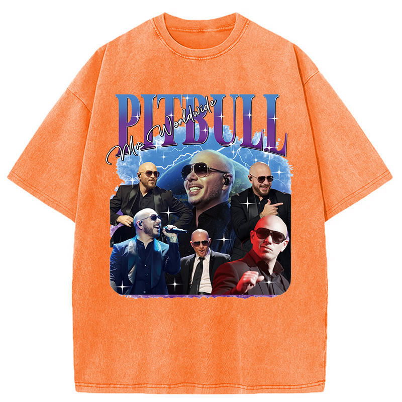 Pitbull Mr.Worlwide Retro Washed T-Shirt