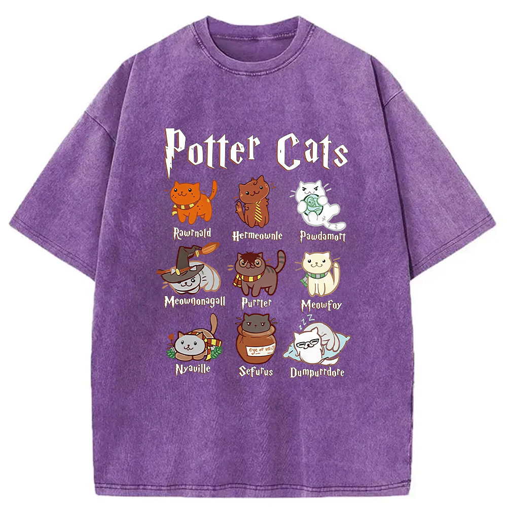 Wizard Cats Washed T-Shirt