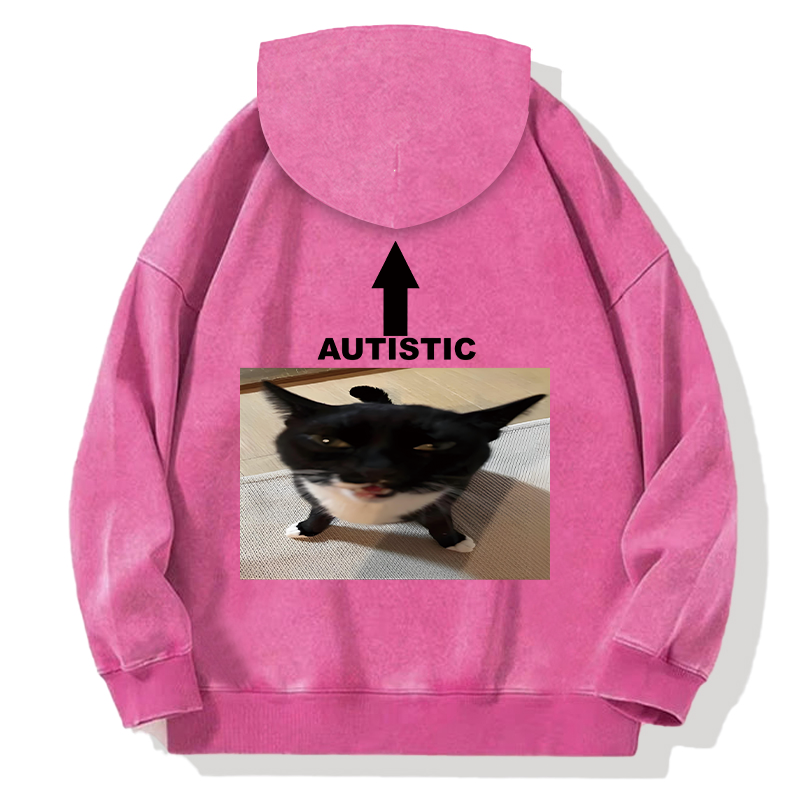 Autistic Cat Back Washed Hoodie