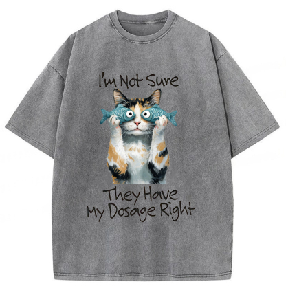 Tokyoviva Cat Meme Sarcastic Ironic Washed T-shirt