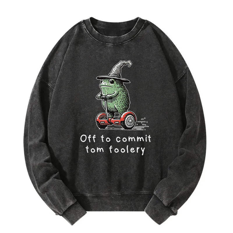 Frog Riding A Balance Scooter Washed Sweatshirt