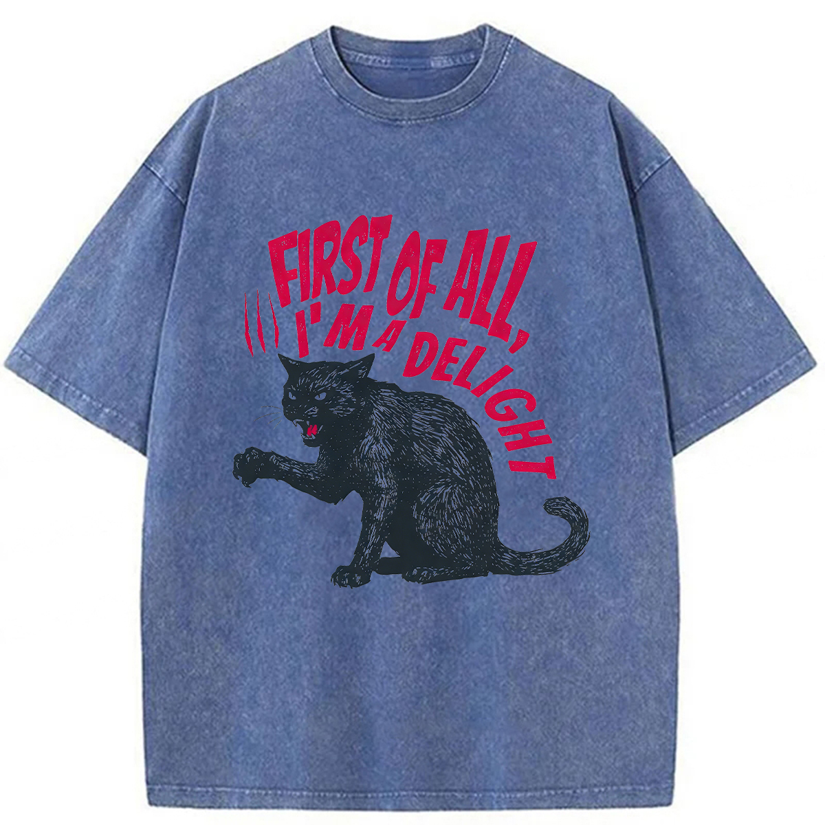 Tokyoviva Pistachio Cat Washed T-shirt