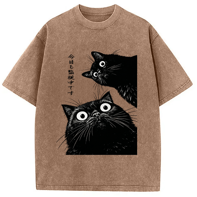 The Cat Is Watching Today Washed T-Shirt
