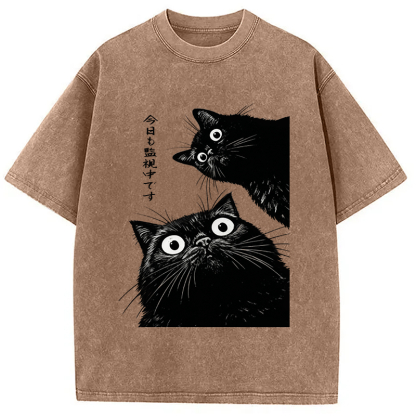 The Cat Is Watching Today Washed T-Shirt