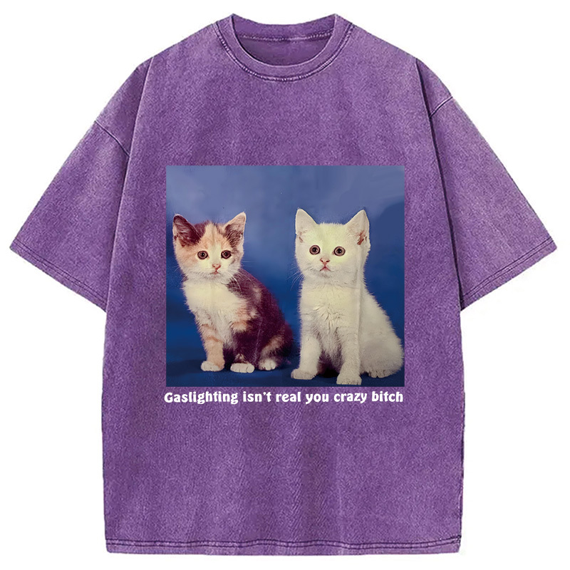 Gaslighting Isn't Real You Crazy Bit*h Washed T-Shirt