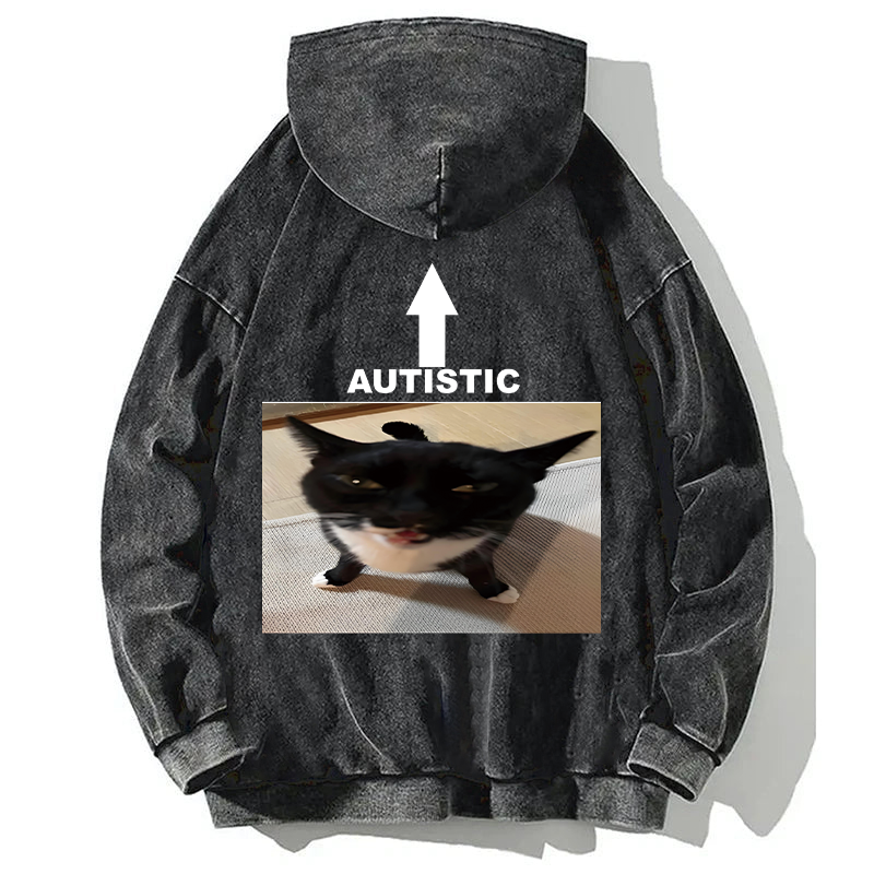 Autistic Cat Back Washed Hoodie