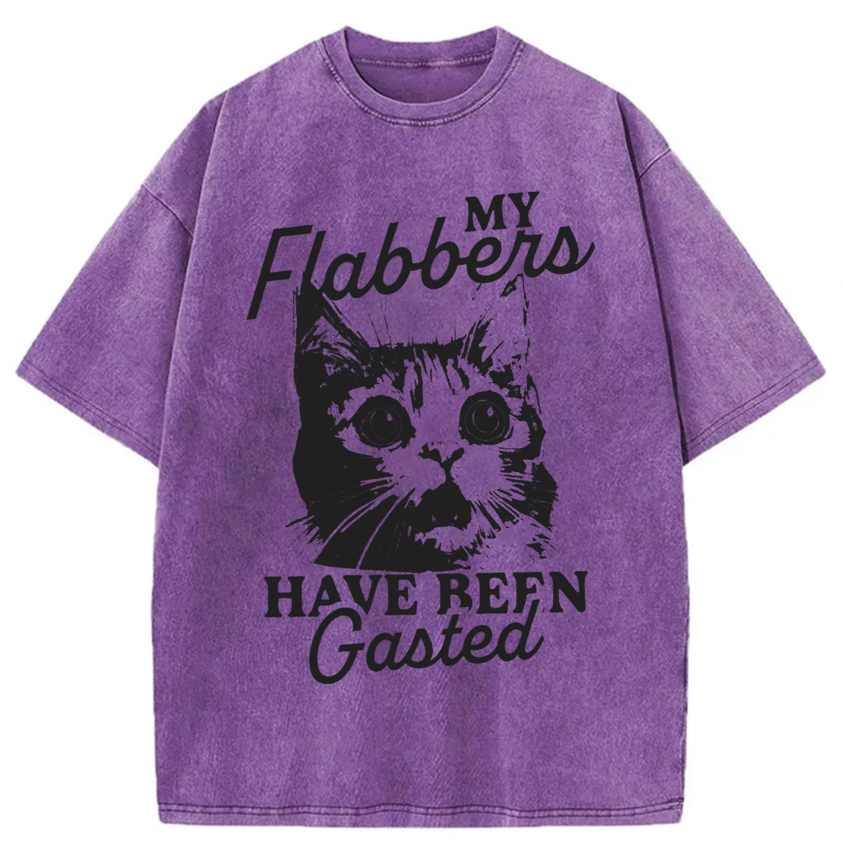 Tokyoviva My Flabbers Have Been Gasted Humor Washed T-shirt