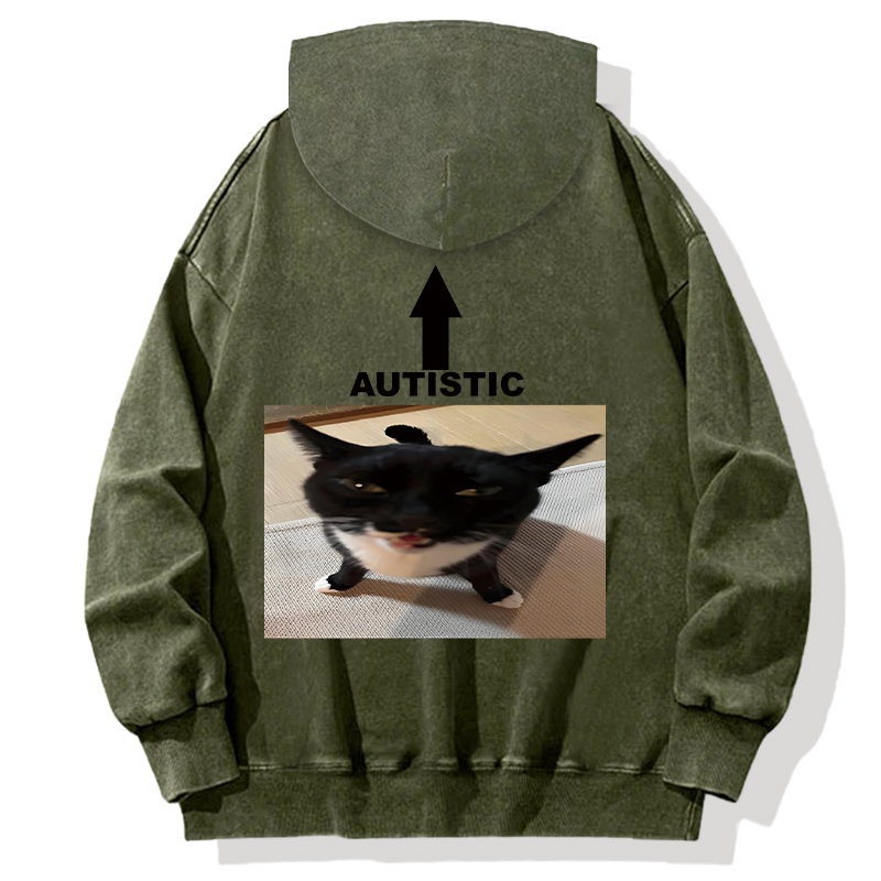 Autistic Cat Back Washed Hoodie