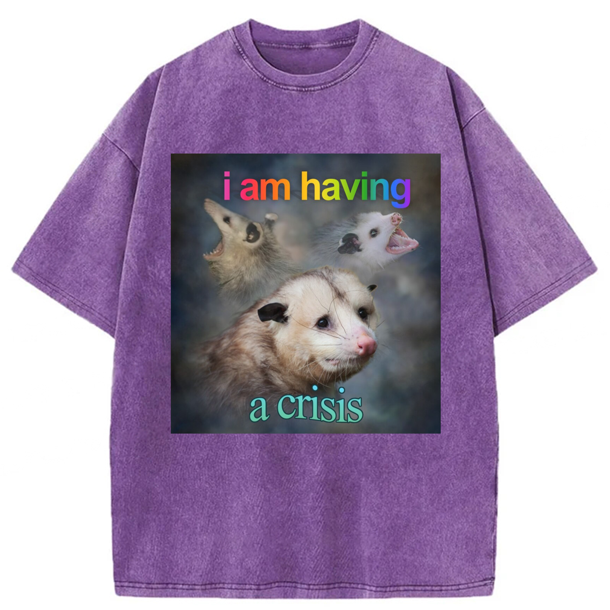 Tokyoviva I Am Having A Crisis Possum Washed T-shirt
