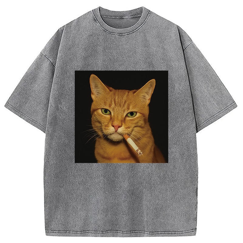 Funny Orange Cat Smoking Meme Washed T-Shirt