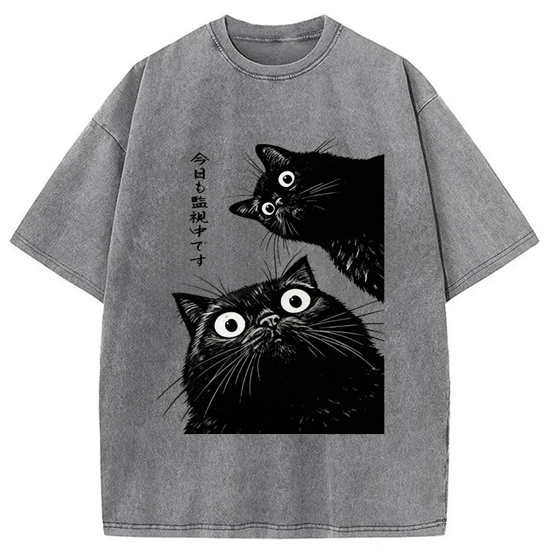 The Cat Is Watching Today Washed T-Shirt