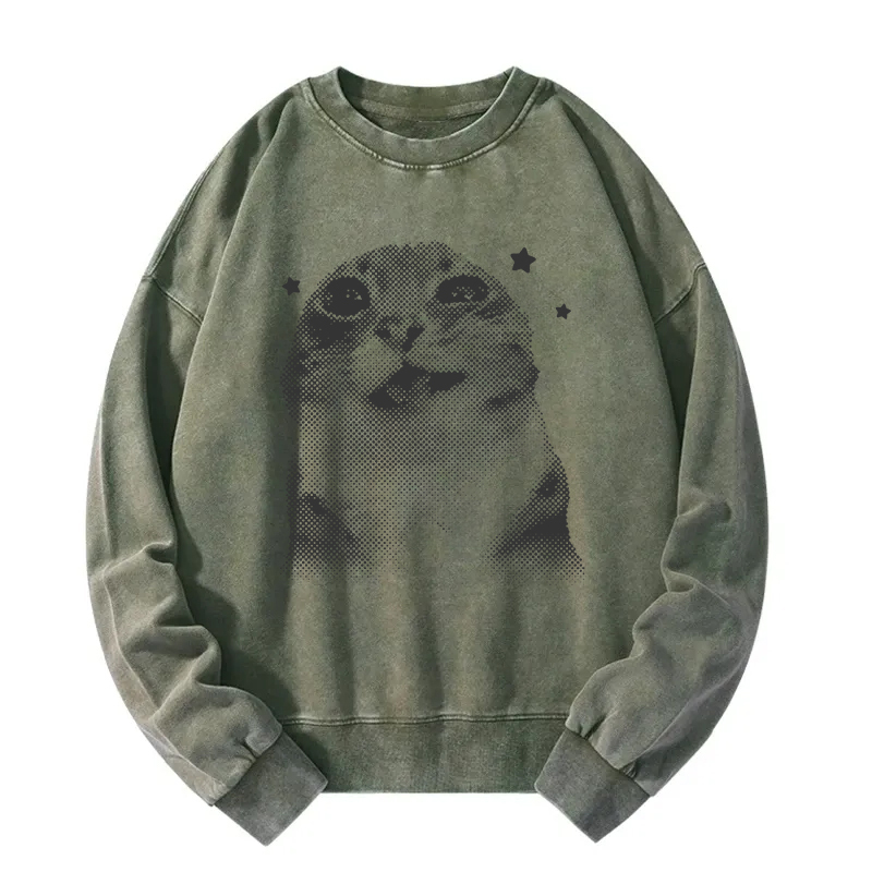 Funny Y2k Retro Cat Meme Washed Sweatshirt