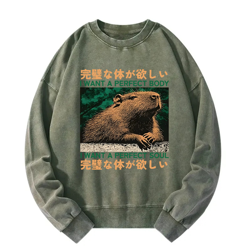 Capybara Wants The Perfect Body Washed Sweatshirt