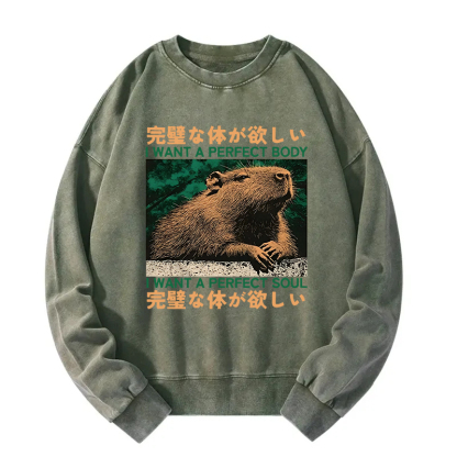 Capybara Wants The Perfect Body Washed Sweatshirt