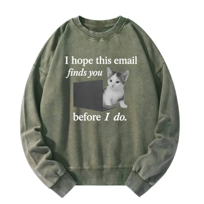 Funny Brainrot Cat Meme Washed Sweatshirt