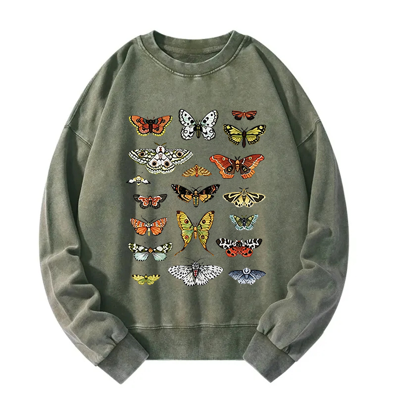Butterfly History Washed Sweatshirt