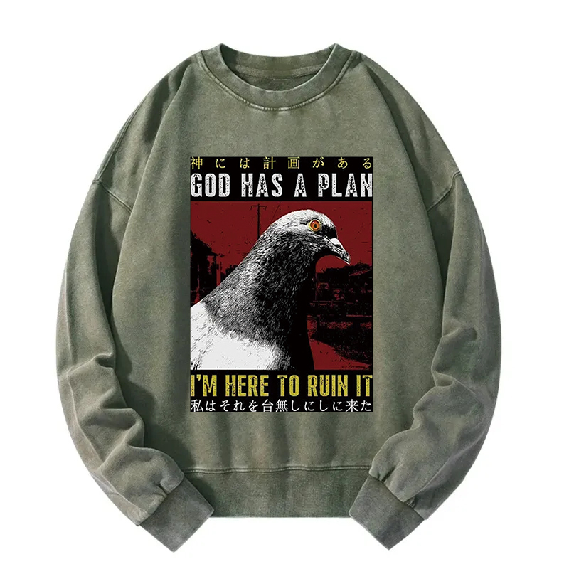 Pigeons That Want To Break The Plan Washed Sweatshirt