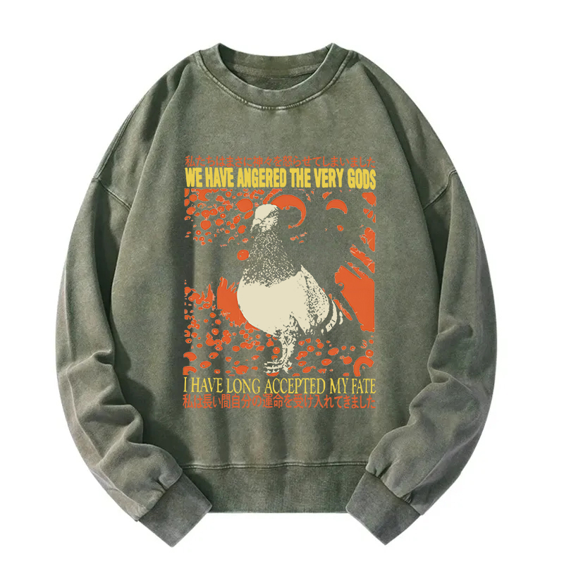 We Have Angered The Very Gods Washed Sweatshirt