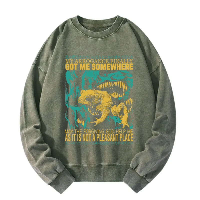 My Arrogance Vintage Japanese Frog Washed Sweatshirt