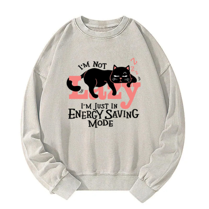 Energy Save Mode Cat Washed Sweatshirt