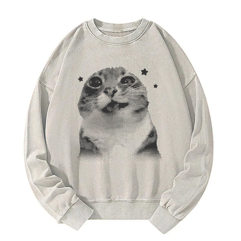 Funny Y2k Retro Cat Meme Washed Sweatshirt