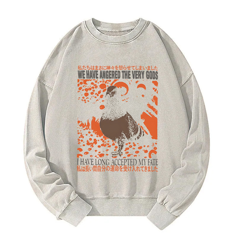 We Have Angered The Very Gods Washed Sweatshirt
