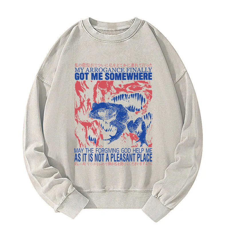 My Arrogance Vintage Japanese Frog Washed Sweatshirt