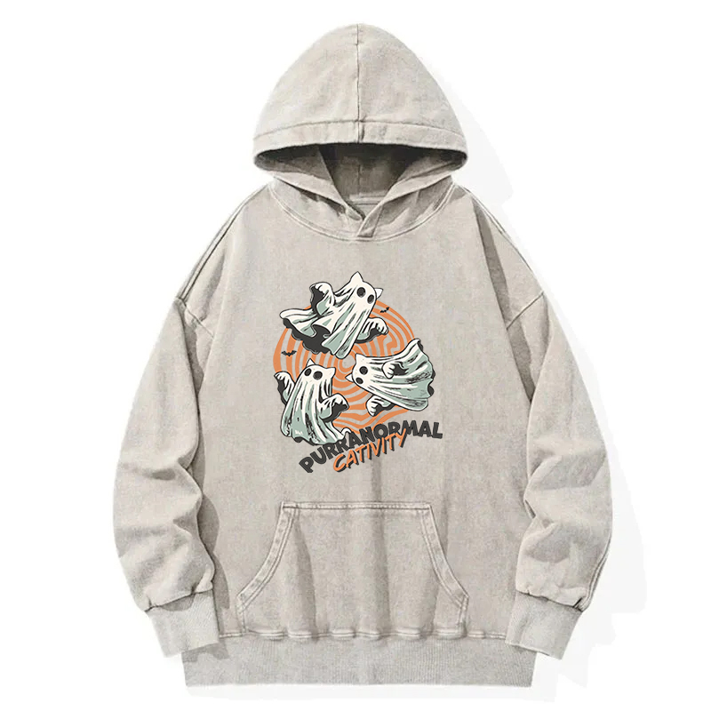 Halloween Purranormal Cativity Washed Hoodie