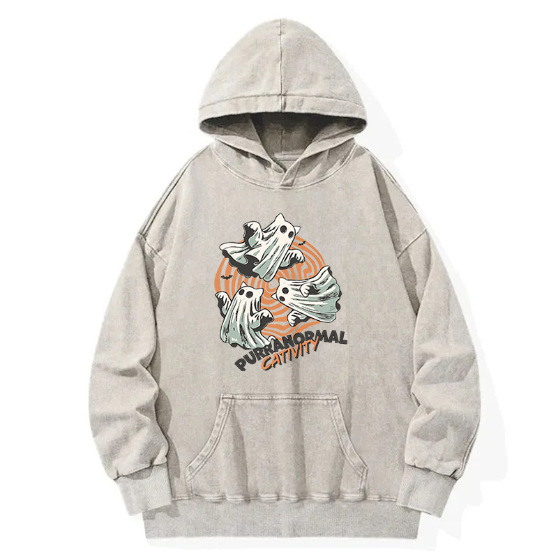 Halloween Purranormal Cativity Washed Hoodie