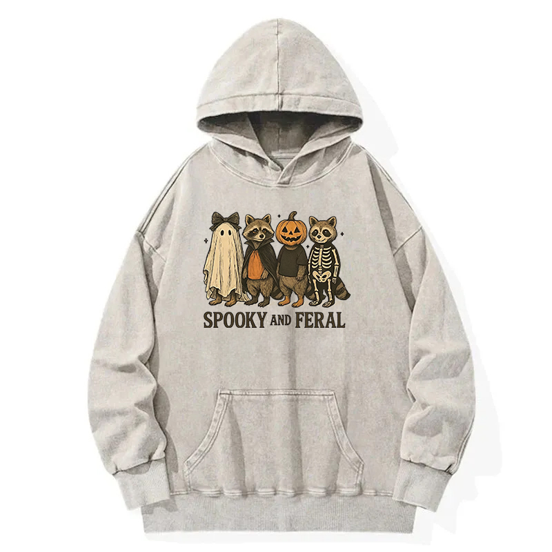 Funny Halloween Raccoon Washed Hoodie