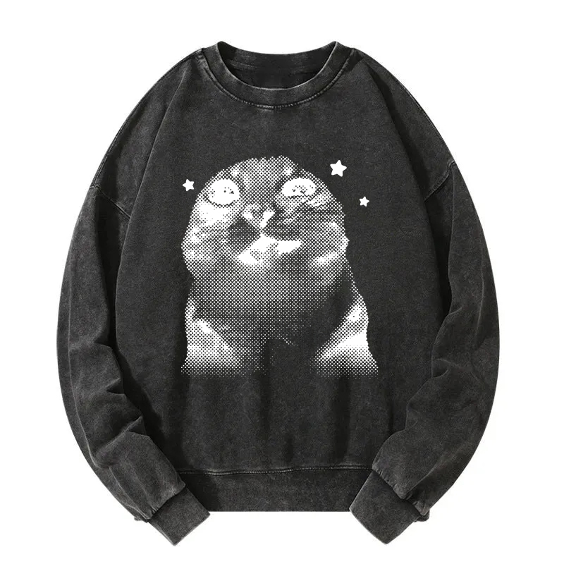Funny Y2k Retro Cat Meme Washed Sweatshirt
