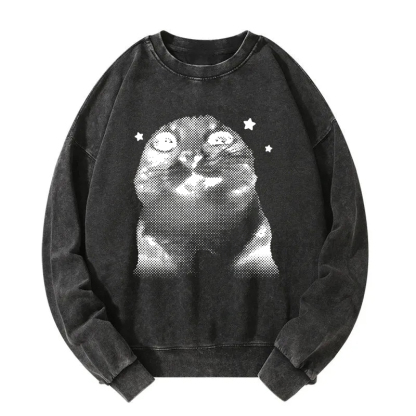 Funny Y2k Retro Cat Meme Washed Sweatshirt