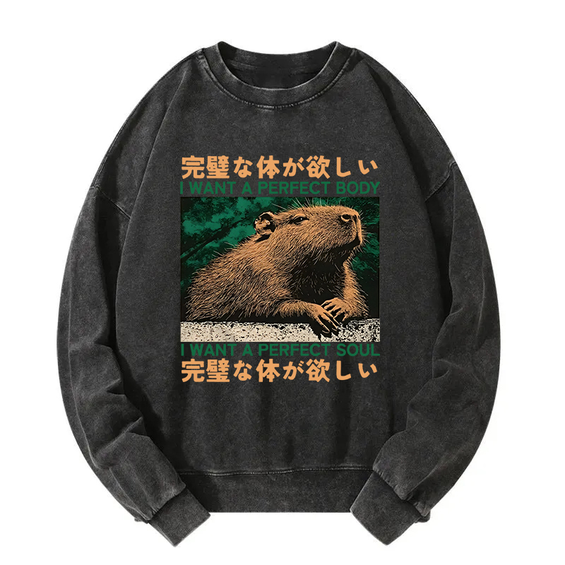 Capybara Wants The Perfect Body Washed Sweatshirt