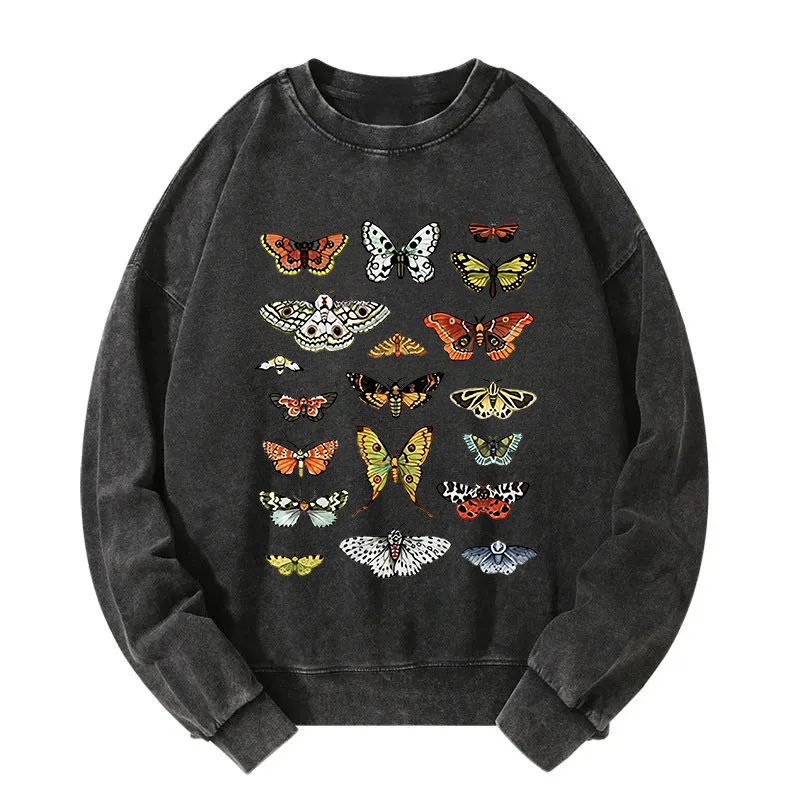 Butterfly History Washed Sweatshirt