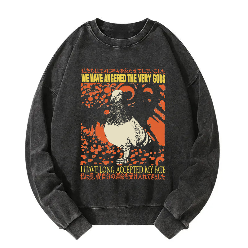 We Have Angered The Very Gods Washed Sweatshirt