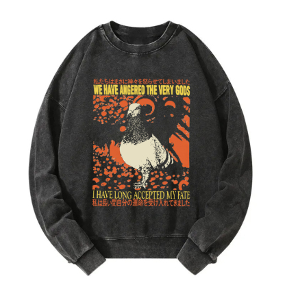 We Have Angered The Very Gods Washed Sweatshirt