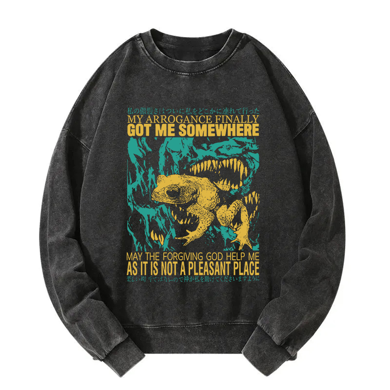 My Arrogance Vintage Japanese Frog Washed Sweatshirt