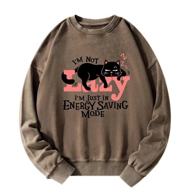 Energy Save Mode Cat Washed Sweatshirt