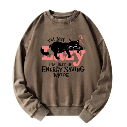 Energy Save Mode Cat Washed Sweatshirt