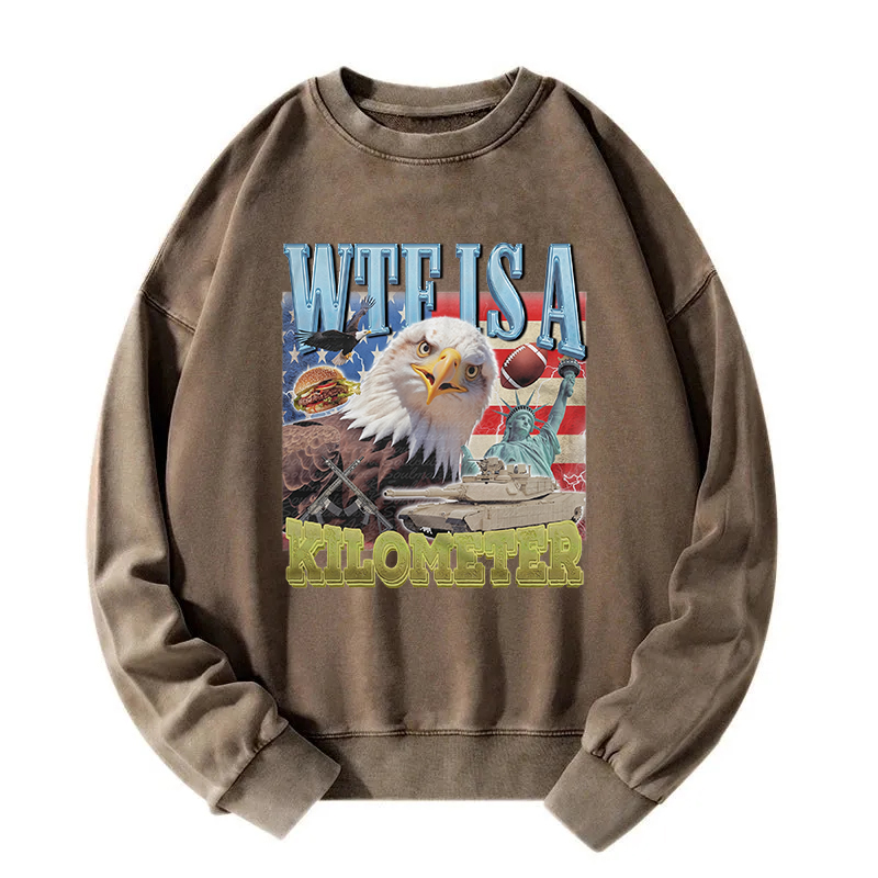 Funny Eagle Meme Washed Sweatshirt