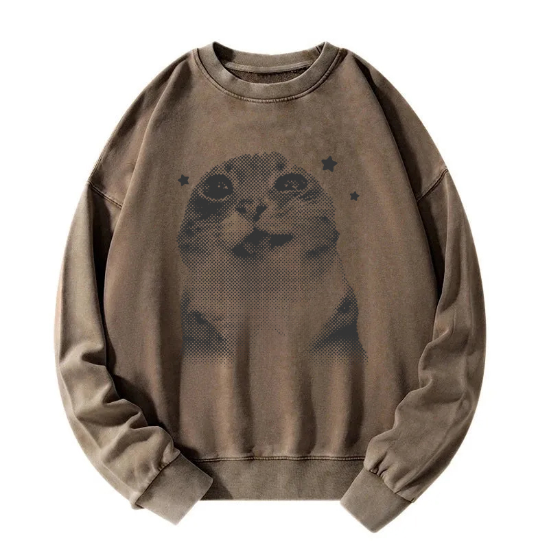 Funny Y2k Retro Cat Meme Washed Sweatshirt