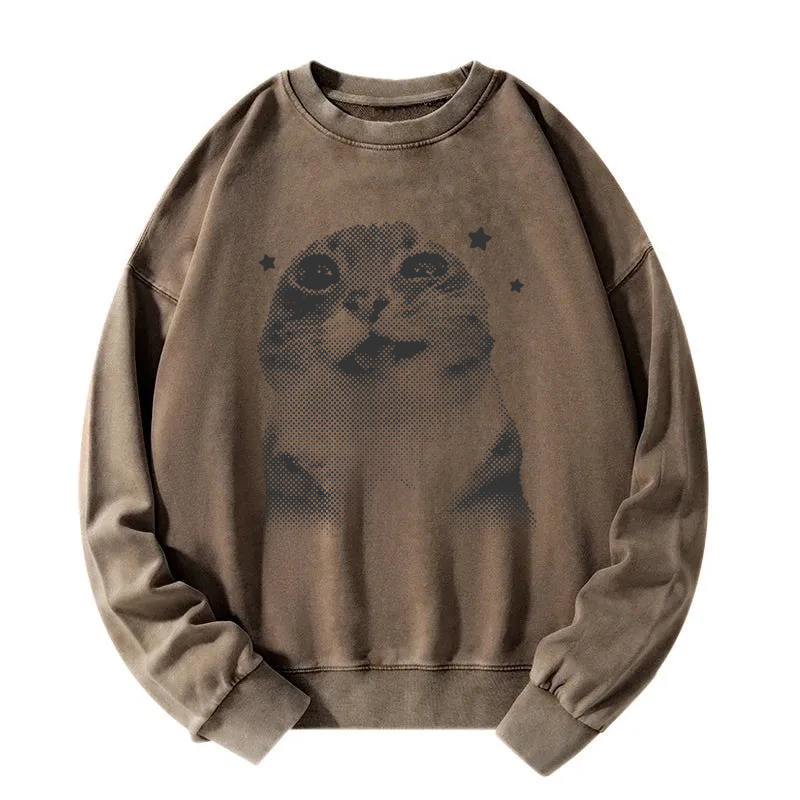 Funny Y2k Retro Cat Meme Washed Sweatshirt